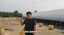 养鹅大王：成品鹅供不应求？老张走访养户看鹅，言出必行轻松拿下
